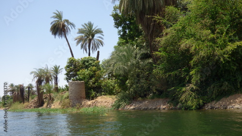 Fototapeta Naklejka Na Ścianę i Meble -  Aegypten - Ufer - Nilufer vom Schiff aus gesehen.