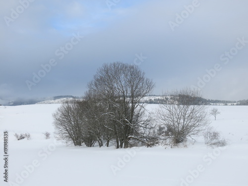 Paysage d'hiver dans la campagne