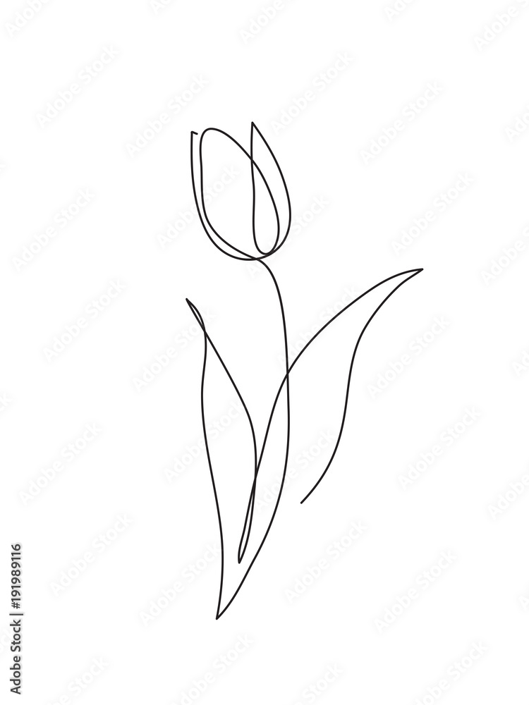 Fototapeta Ikona konspektu tulipan