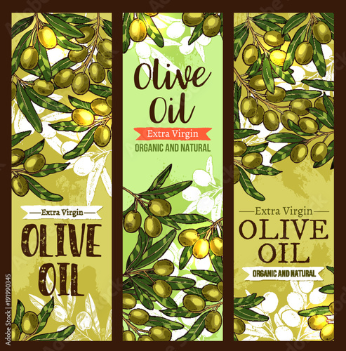 Vector olive oil extra virgin sketch banners