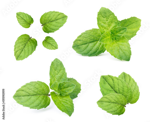 Mint leaves isolated on white background. © Tetiana
