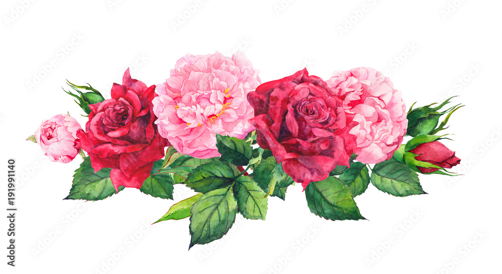 Fototapeta Pink peony flowers and red roses. Watercolor
