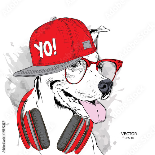 The image of the dog in the glasses, headphones and in hip-hop hat. Vector illustration.