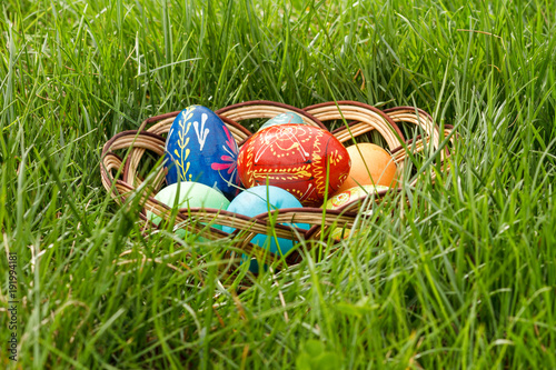 Easter eggs in wicker basket in spring green grass