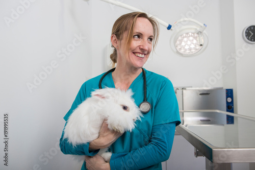 Vets carrying angora rabbit