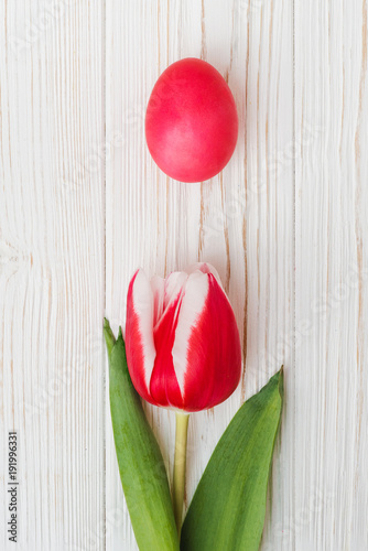 Easter egg and pink tulip