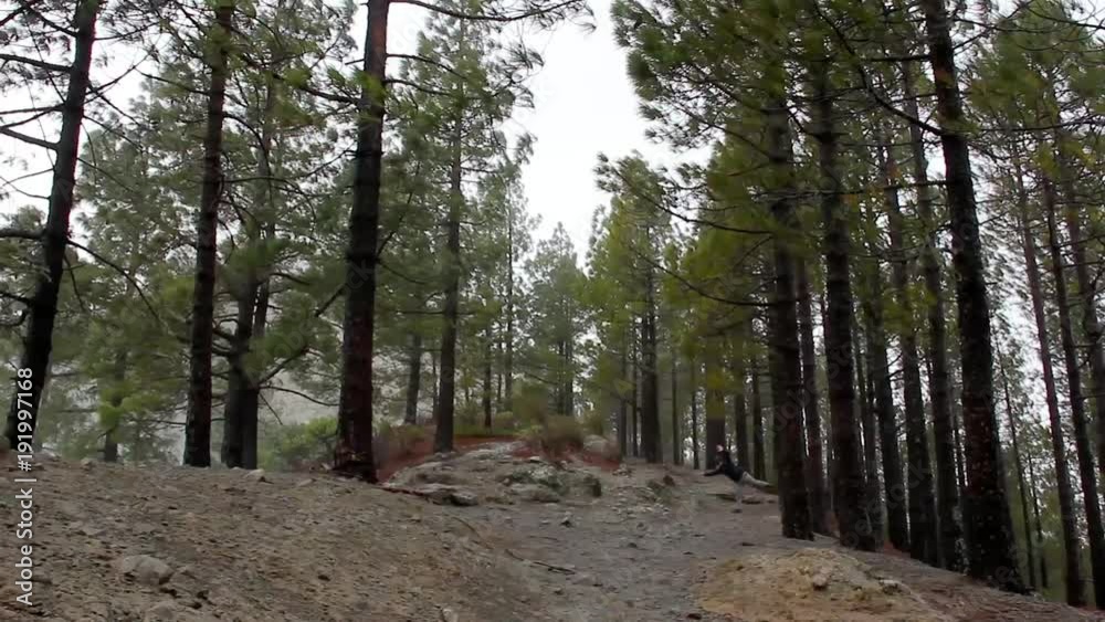 Stone path through pine trees woods on the way up to Roque Nublo mountain in Gran Canaria, Spain. Hiking outdoors activity concept, nature connection Stone path through pine trees woods on the way up to Roque Nublo mountain in Gran Canaria, Spain. Hiking outdoors activity concept, nature connection