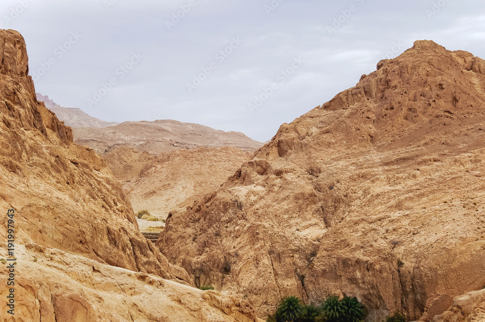 Rocks of oasis Chebika, famous landmark in Sahara desert. Tunisia.