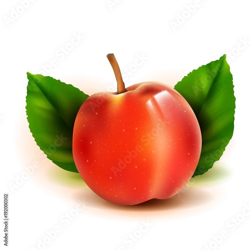 Photo realistic peach 3d vector fruit with leaves isolated on white background. Prunus persica in the family Rosaceae.