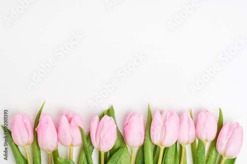 Pink tulips border on white background. Copy space, top view