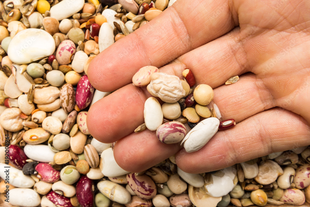 Variety of rotten grains.  Person with grains in hand. Macro. Whole food.