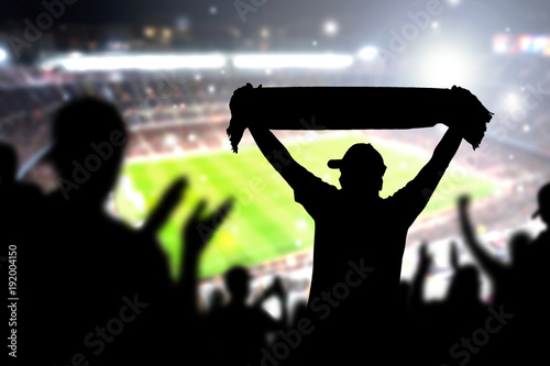 Bild auf Leinwand Crowd and fans in football stadium
