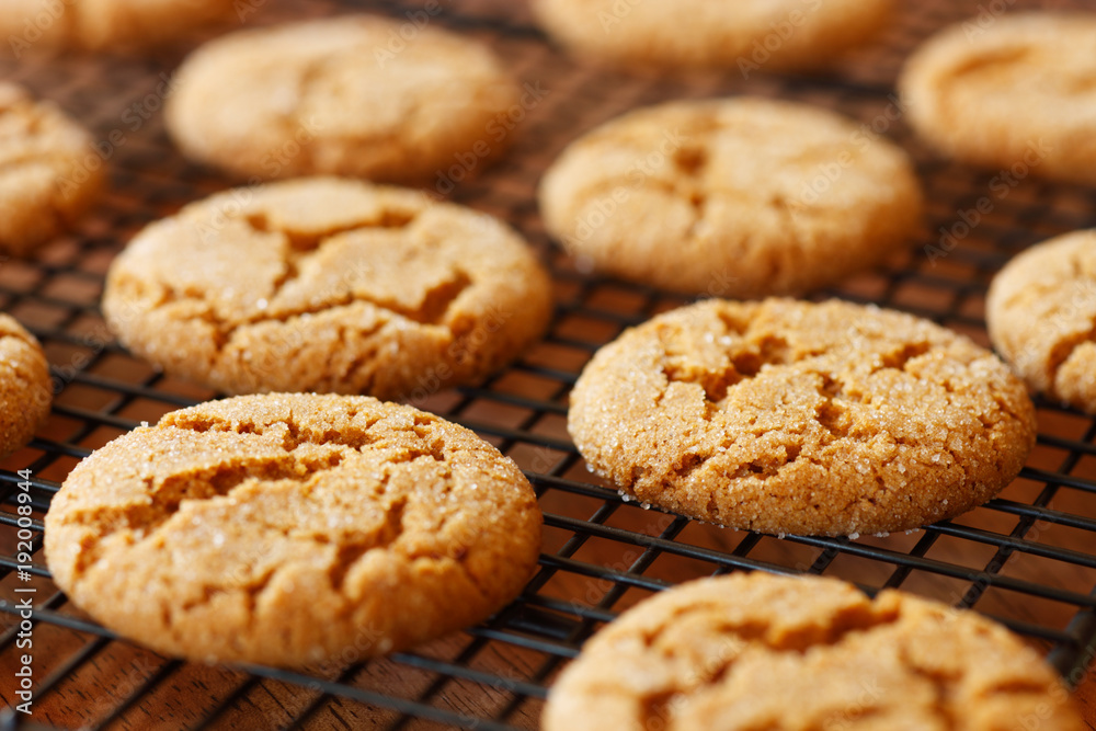 Ginger Snaps on a Cooling Rack Ginger Snaps on a Cooling Rack