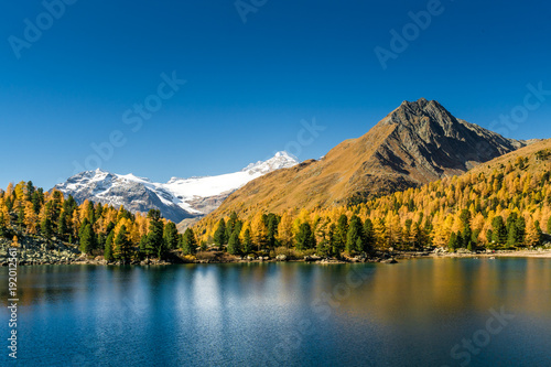 Lagh da Val Viola mit Bernina Massiv im Herbst, Puschlav, Schweiz