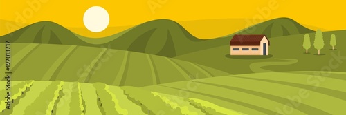 Large field banner. Flat illustration of large field vector banner for web