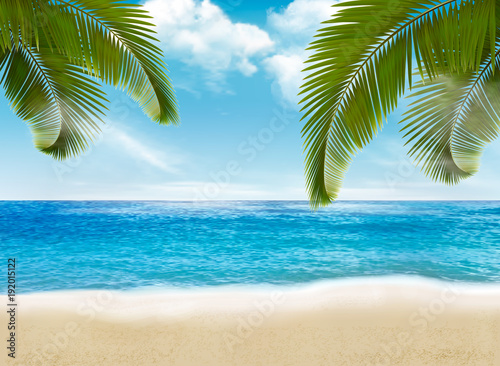Palm leaves on beach. Vector illustration. © ecco