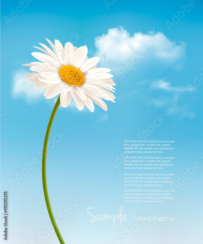 Beautiful white daisy in front of the blue sky. Vector.