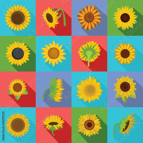 Sunflower blossom icons set. Flat illustration of 16 sunflower blossom vector icons for web