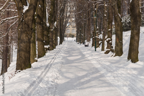 Empty snow covered road in winter landscape © Roman's portfolio