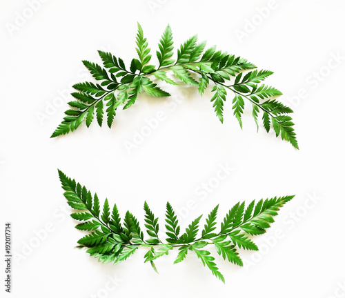 Frame wreath made of green leaves. Flat lay, top view, copy space.
