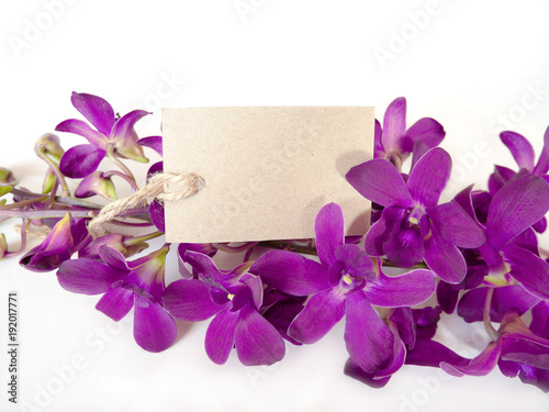 Beautiful of purple orchids with a blank gift tag for valentines or anniversary message on white background.