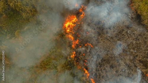 Aerial view forest fire on the slopes of hills and mountains. Forest and tropical jungle deforestation for human food farming and export. large flames from forest fire. Using fire to destroy natural