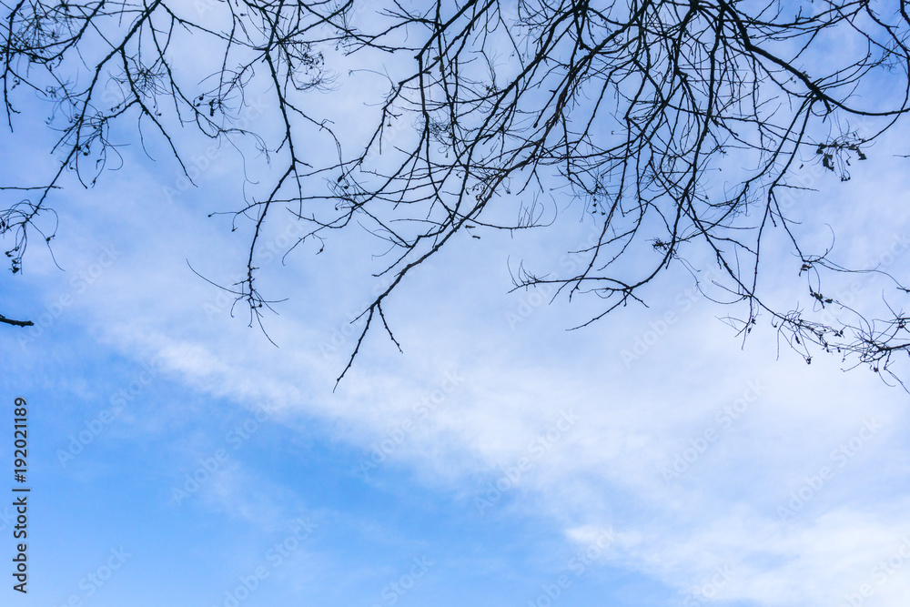 blue sky with cloud blue sky with cloud