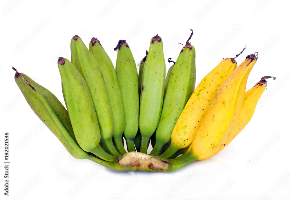 Musa Silver Bluggoe banana ,Kluai Hak Mook green and yellow color on white background