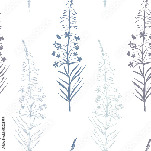 Vector floral seamless pattern with hand drawn  summer wild  flowers.