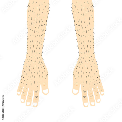 hands.Vector Illustration
