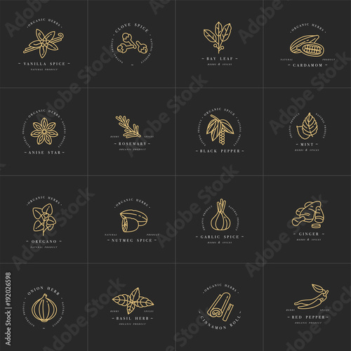 Vector set design templates monochrome logo and emblems - herbs and spices. Different spices icon. Logos in trendy linear style isolated on white background.