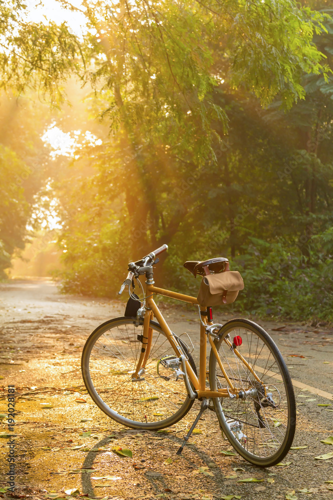 A yellow bicycle is parking on the quite road in the forest with beautiful of warm sunlight of the morning.