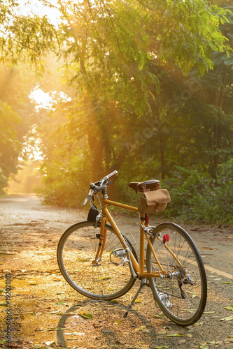 A yellow bicycle is parking on the quite road in the forest with beautiful of warm sunlight of the morning.