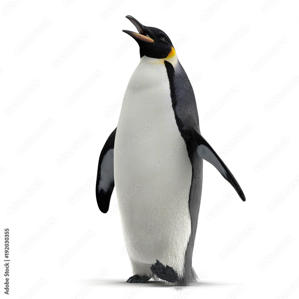 King penguin isolated on white. 3D illustration - obrazy, fototapety, plakaty 