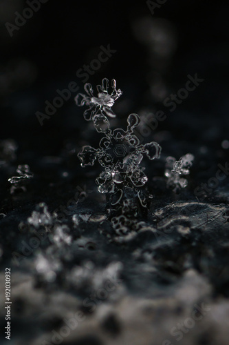 Macro photography of snowflake taken in paris during snowfall in Paris. A snowflake is a single ice crystal. looks like ice but very small and very light. it has many shape and used as snow symbols