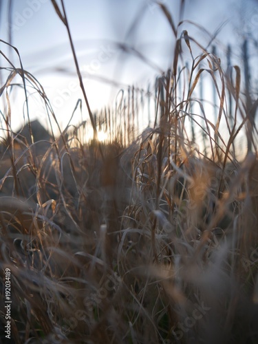 Sonnenuntergang im Frühling