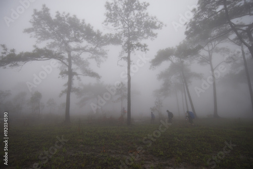 Wallpaper Mural People are traveling outdoors in a natural atmosphere in the mor Torontodigital.ca