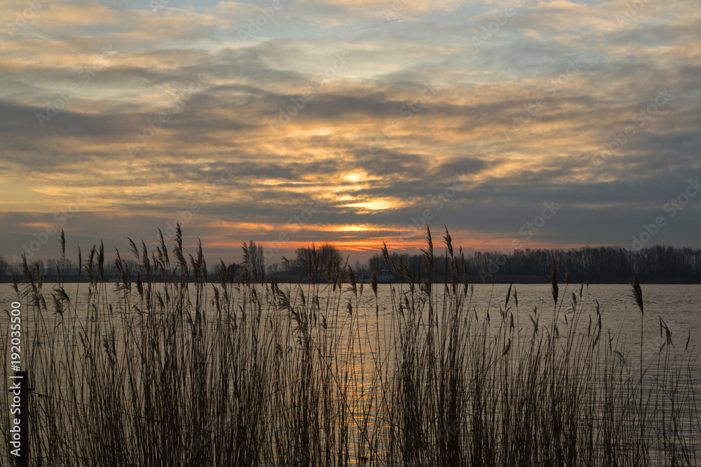 Sunrise over Biesbosch NP, Netherlands