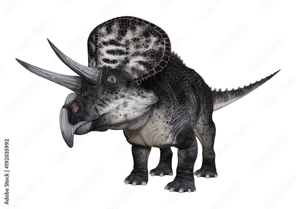 3D Rendering Dinosaur Zuniceratops on White 3D Rendering Dinosaur Zuniceratops on White