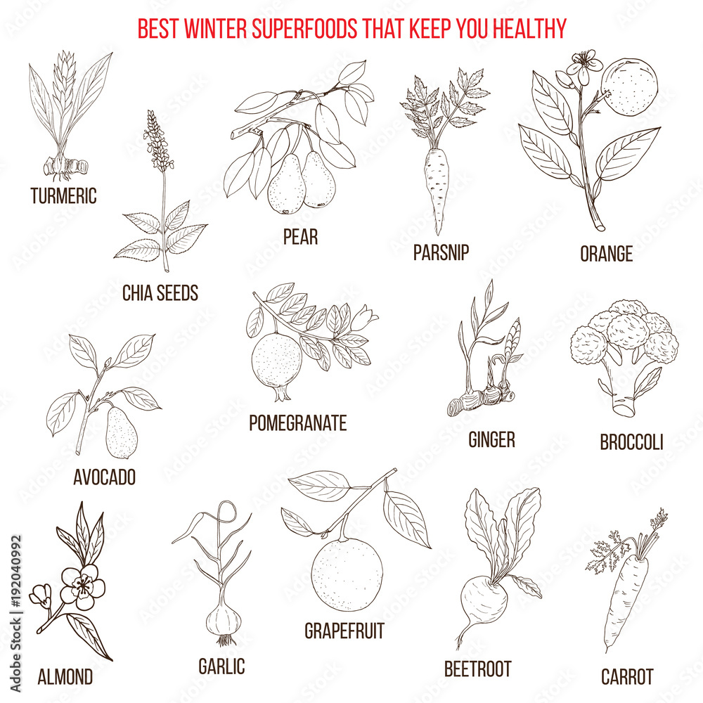 Best winter superfoods that keep you healthy