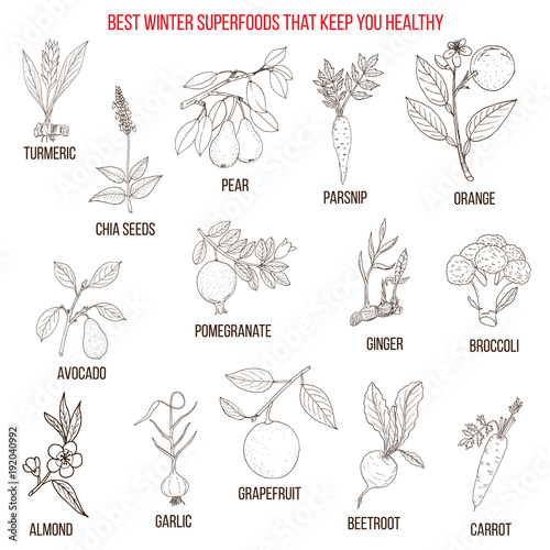 Best winter superfoods that keep you healthy