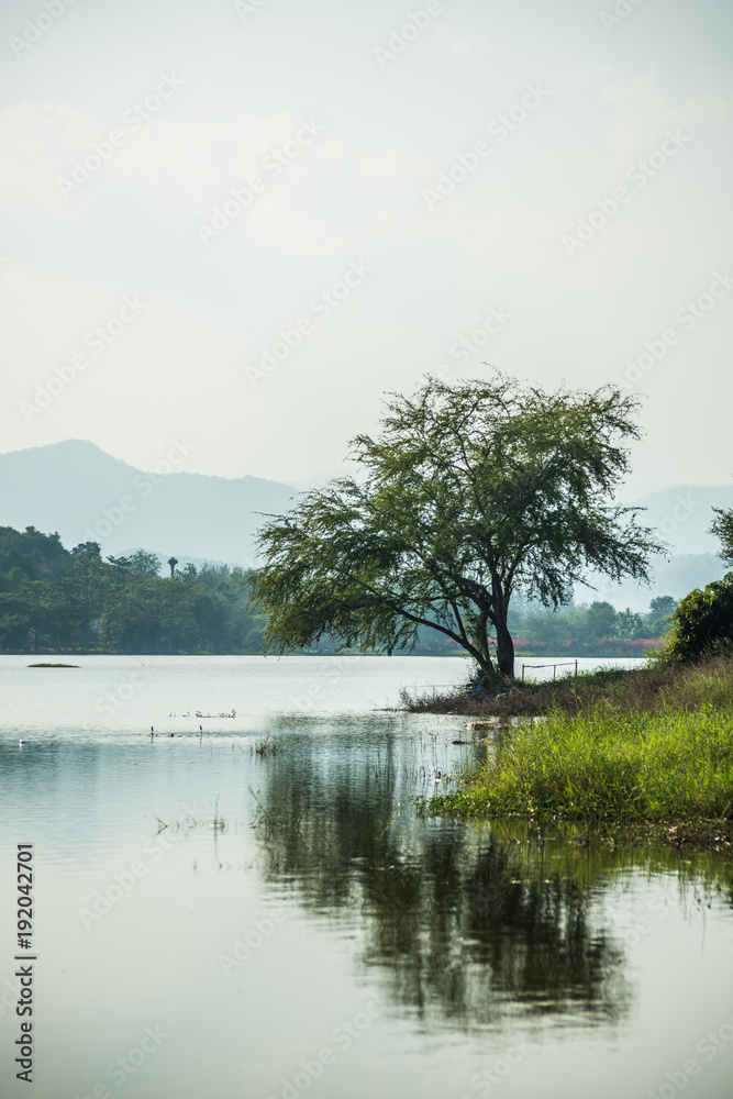Mountain and reservoir and tree. Mountain and reservoir and tree.