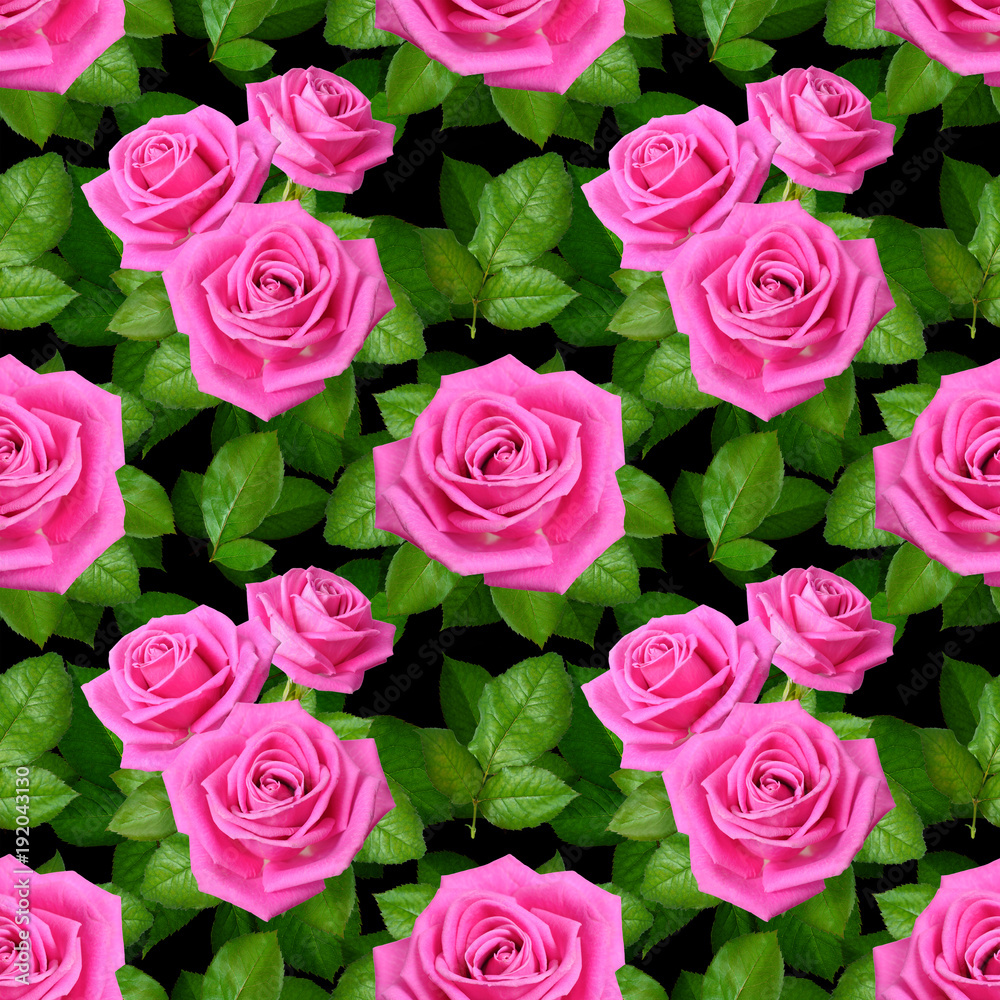 Seamless background with Pink roses on black background Seamless background with Pink roses on black background
