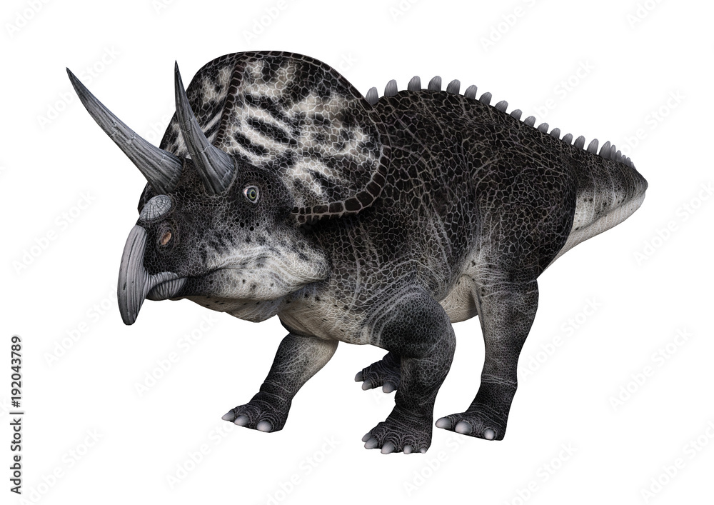 3D Rendering Dinosaur Zuniceratops on White 3D Rendering Dinosaur Zuniceratops on White