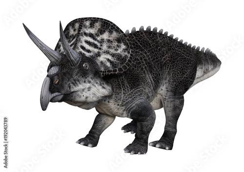 3D Rendering Dinosaur Zuniceratops on White © photosvac