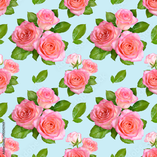 Seamless Background.Pink roses on blue