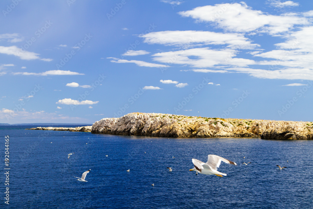 Adriatic sea, mountains and sky. Seagulls over water Adriatic sea, mountains and sky. Seagulls over water