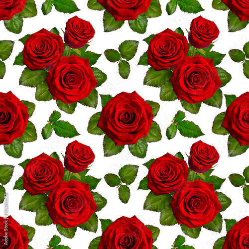 Seamless background with red roses. Isolated on white background