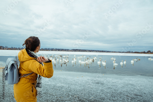 woman feed swans on winter lake