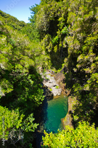 Stream in the forest, Madeira, Portugal